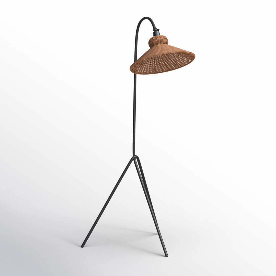 Plumeria 64'' Black Arched/Arc Floor Lamp